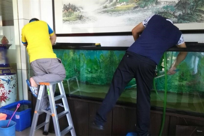 Tungurahua Fish tank cleaning and maintenance