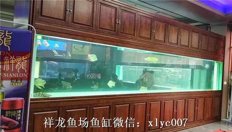 Tungurahua Large aquarium customized 6M